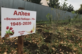 В селе Балахоновское появилась аллея героев