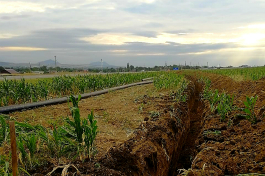 Ставрополькрайводоканал принял в эксплуатацию больше 762 километров сетей