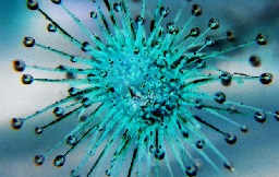 Профилактика коронавируса. Рекомендации Роспотребнадзора РФ