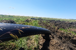 Капитальный ремонт Невинномысско-Курсавского группового водопровода идет полным ходом