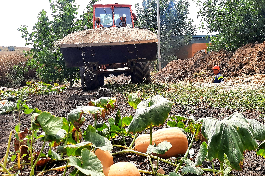 Заявки по восстановлению 19-ти объектов водоснабжения в крае одобрены на федеральном уровне