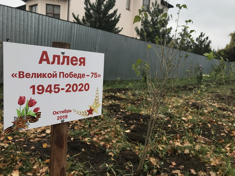В селе Балахоновское появилась аллея героев
