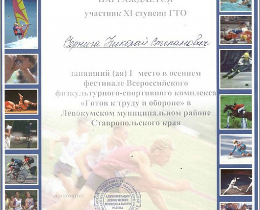 Фестиваль Всероссийского физкультурно-спортивного комплекса ГТО