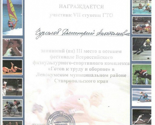 Фестиваль Всероссийского физкультурно-спортивного комплекса ГТО
