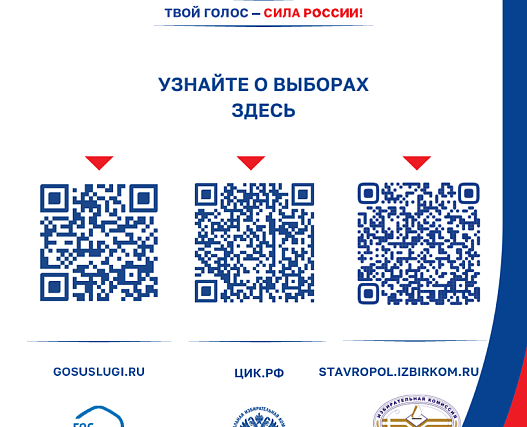 Выборы депутатов Государственной Думы Федерального Собрания Российской Федерации